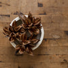 Dried Natural Star Pod
