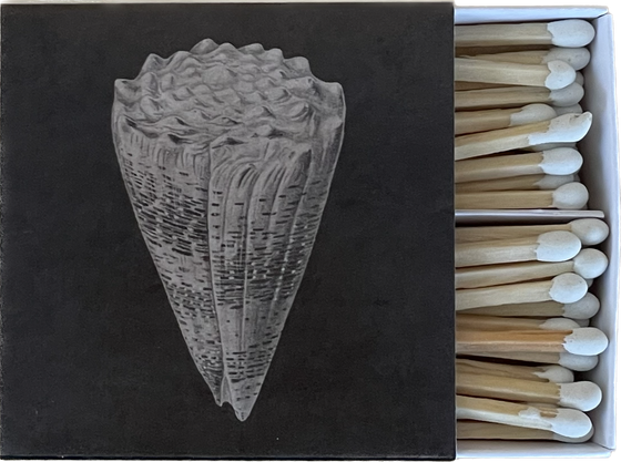 CONE