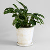 Basic Planter, White Patina: Small