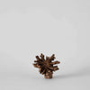 Rare Wood Flower: One Size