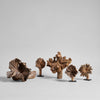 Rare Wood Flower: One Size