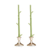 Stick Candles Maple / Pair: Honeysuckle Brown