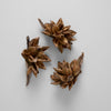 Dried Natural Star Pod