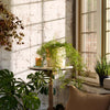 Basic Planter, White Patina: Medium