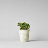 Basic Planter, White Patina: Large