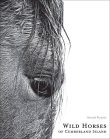  Wild Horses of Cumberland Island