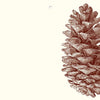 Pinecone Gift Tags
