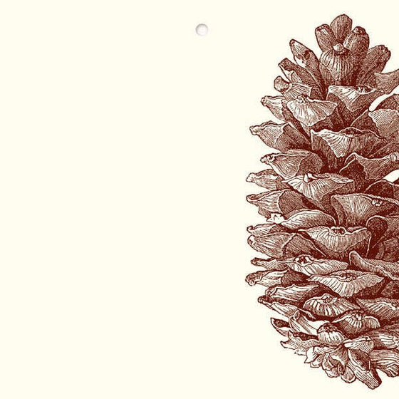 Pinecone Gift Tags