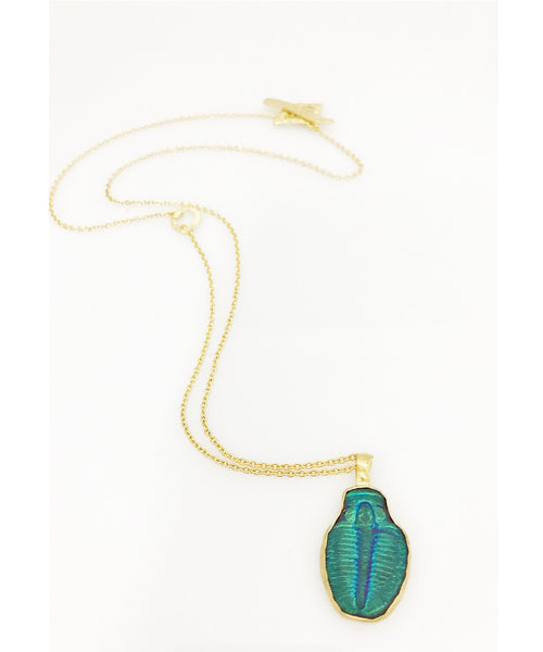 Heather Benjamin Fossilized Trilobite Necklace