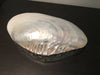 Mother of Pearl Shell Box - Large