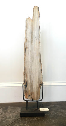  Rectangular Slab of Petrified Wood on Stand - Small