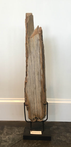 Rectangular Slab of Petrified Wood on Stand - Small