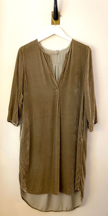  CP Shades Halle Taupe Velvet Dress