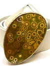Heather Benjamin Ocean Jasper Belt Buckle w/ Strap