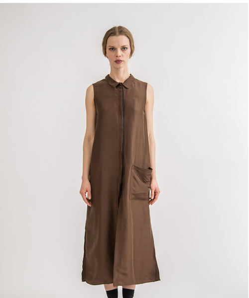 Shosh Shirt Dress