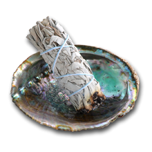 White Sage Smudge Stick with Abalone Shell Holder