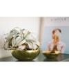 Oversized pure brass bowl