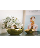 Oversized pure brass bowl