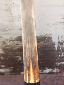  Swordfish Sword on Stand