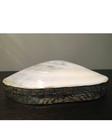  Mother of Pearl Shell Box - Large